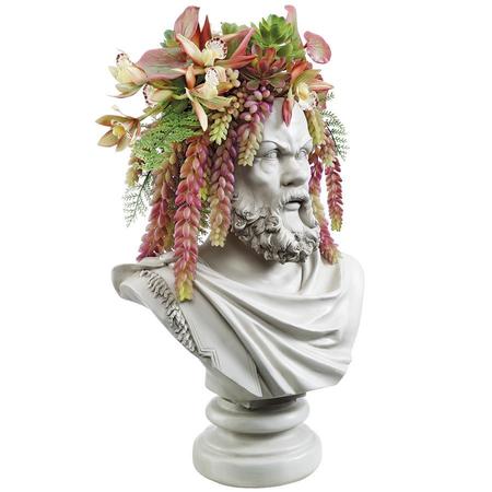 DESIGN TOSCANO Bust Planters of Antiquity Statues: The Philosopher Socrates EU1010